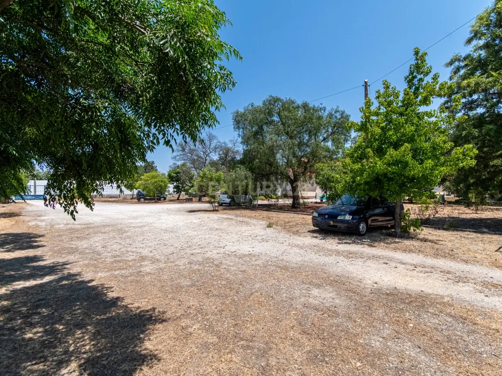 Moradia Exclusiva para Investimento em Quinta do Anjo, Palmela - Image 15