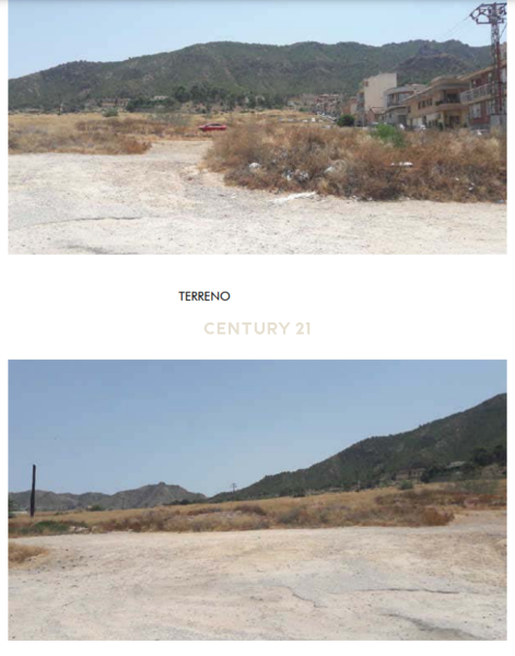 Terreno - Image 3