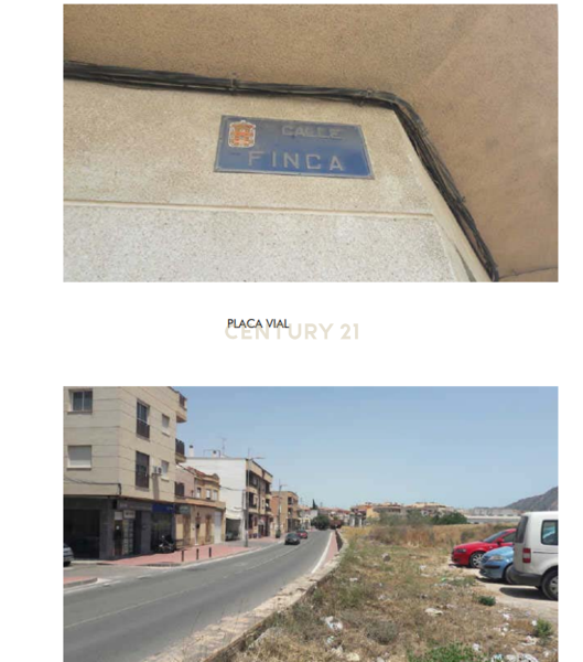 Terreno - Image 4