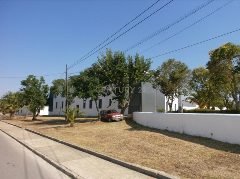Apartamento - Image 3