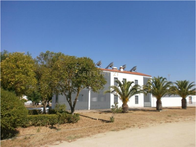 Apartamento - Image 2