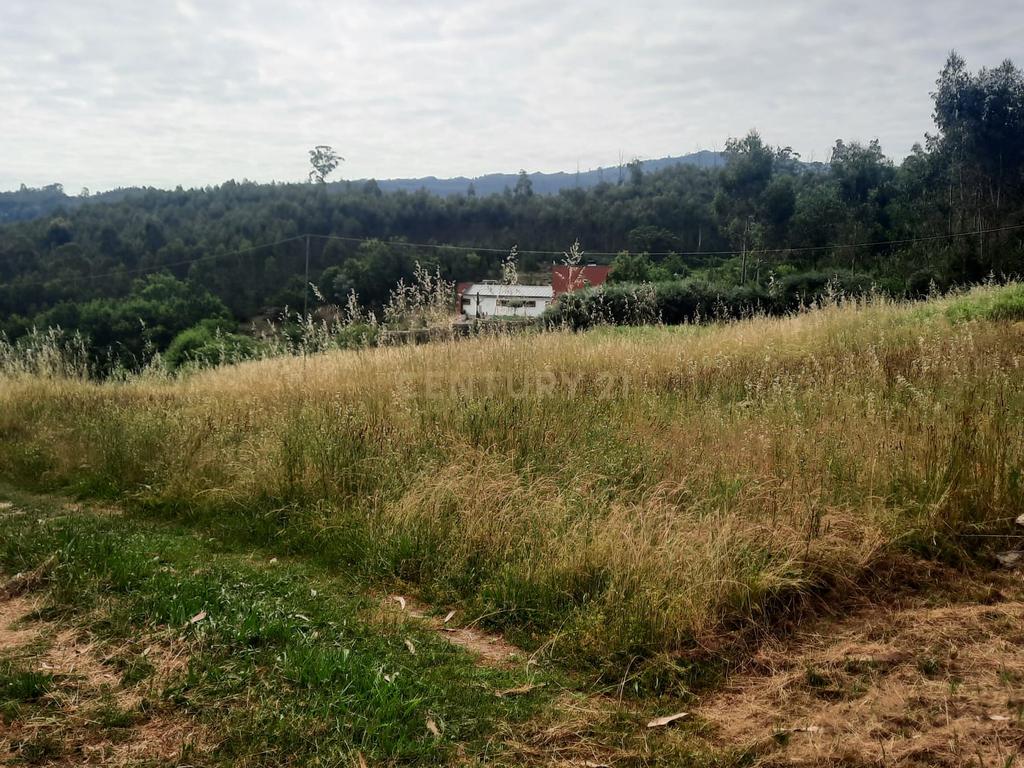 Casa moderna T3  e terreno rústico perto de Oliveira de Frades e Vouzela, preço total 125.000.00 euros! - Image 33