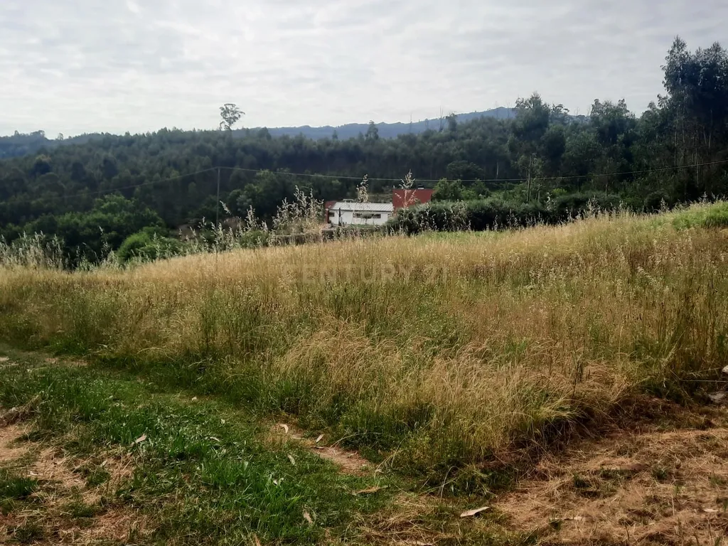 Casa moderna T3 e terreno rústico perto de Oliveira de Frades e Vouzela, preço total 125.000.00 euros! - Image 33