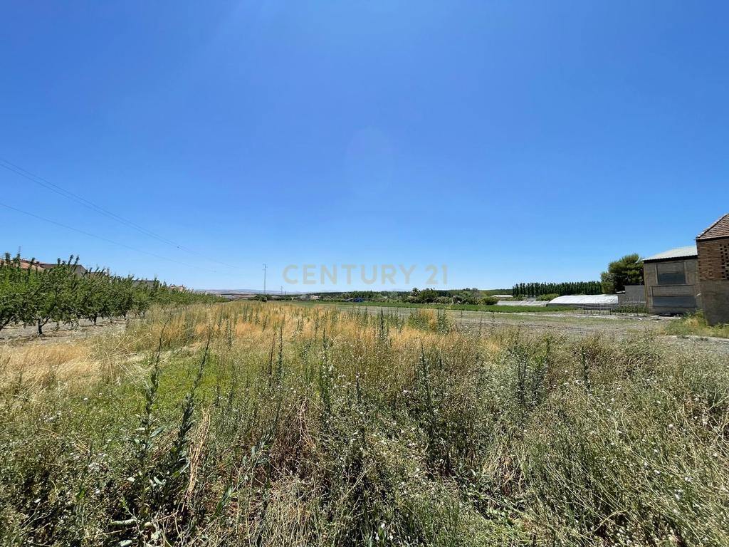 TERRENO DE REGADÍO CON SECADERO, JUNTO AL NÚCLEO URBANO DE FTE. VAQUEROS - Image 8