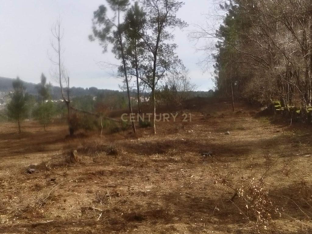 Terreno para Construção Vila Verde junto Rio - Image 2