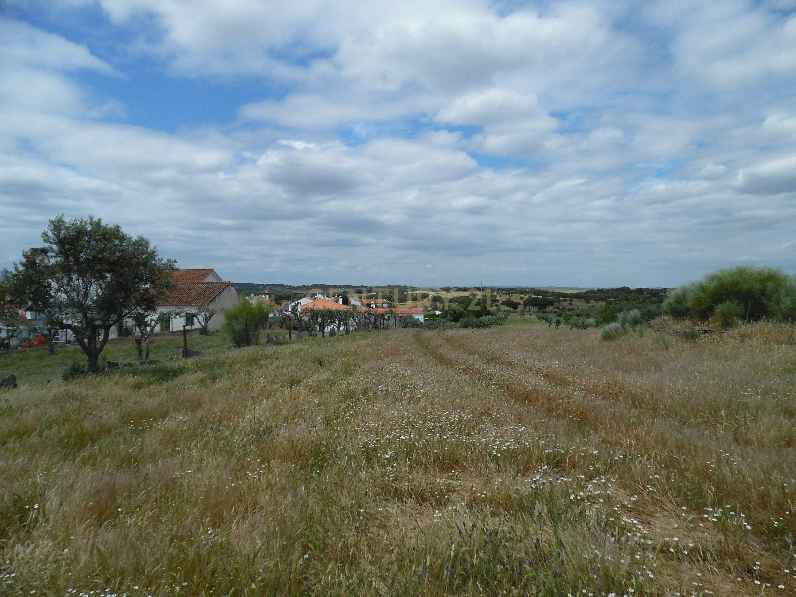 Moradia T3 à venda em Capelins (Santo António), Alandroal — foto 20