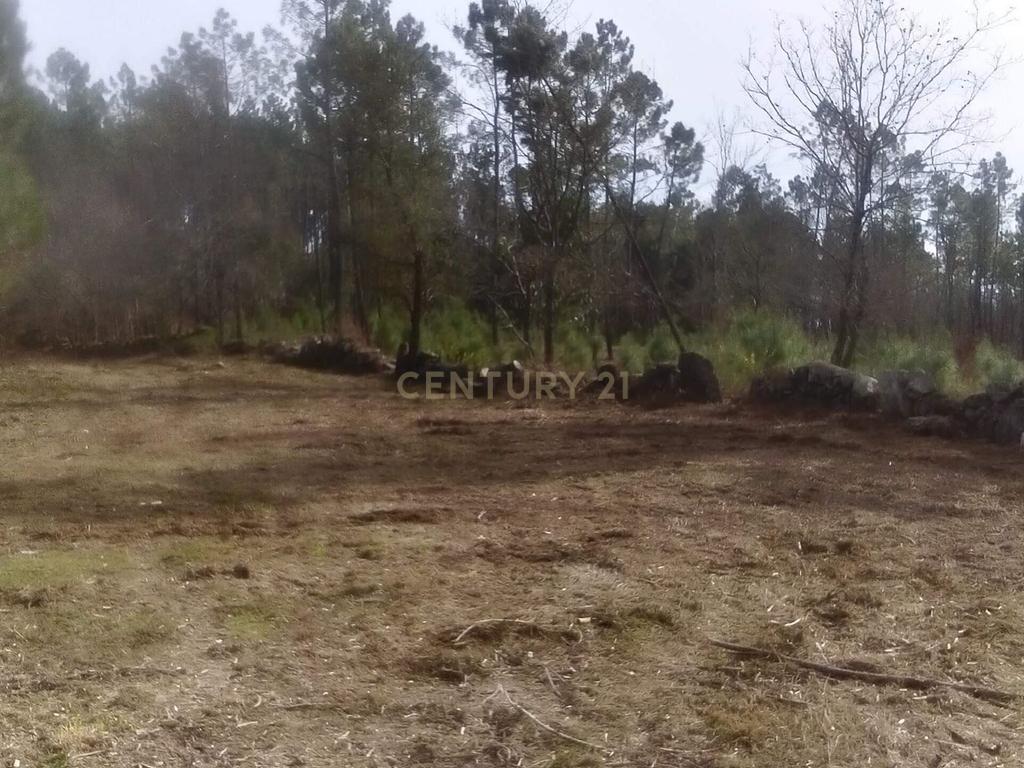 Terreno para Construção Vila Verde junto Rio - Image 3