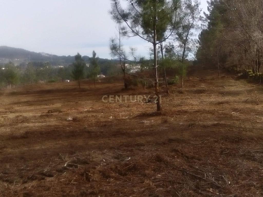 Terreno para Construção Vila Verde junto Rio - Image 4