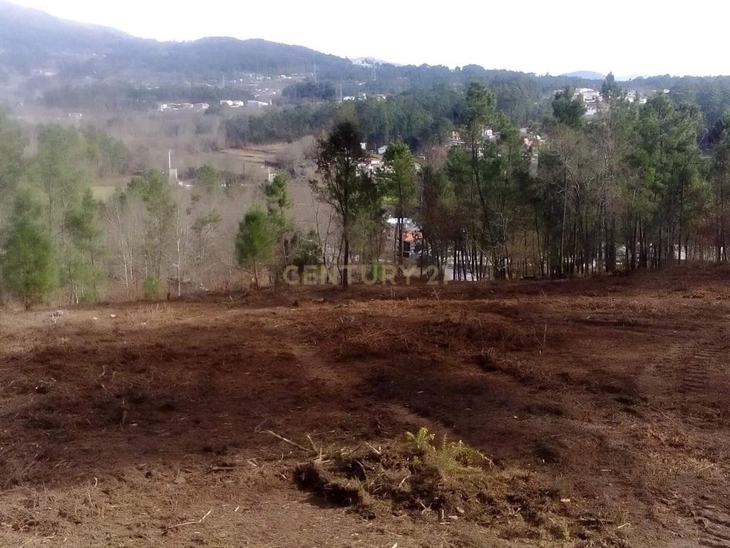 Terreno para Construção Vila Verde junto Rio - Image 5