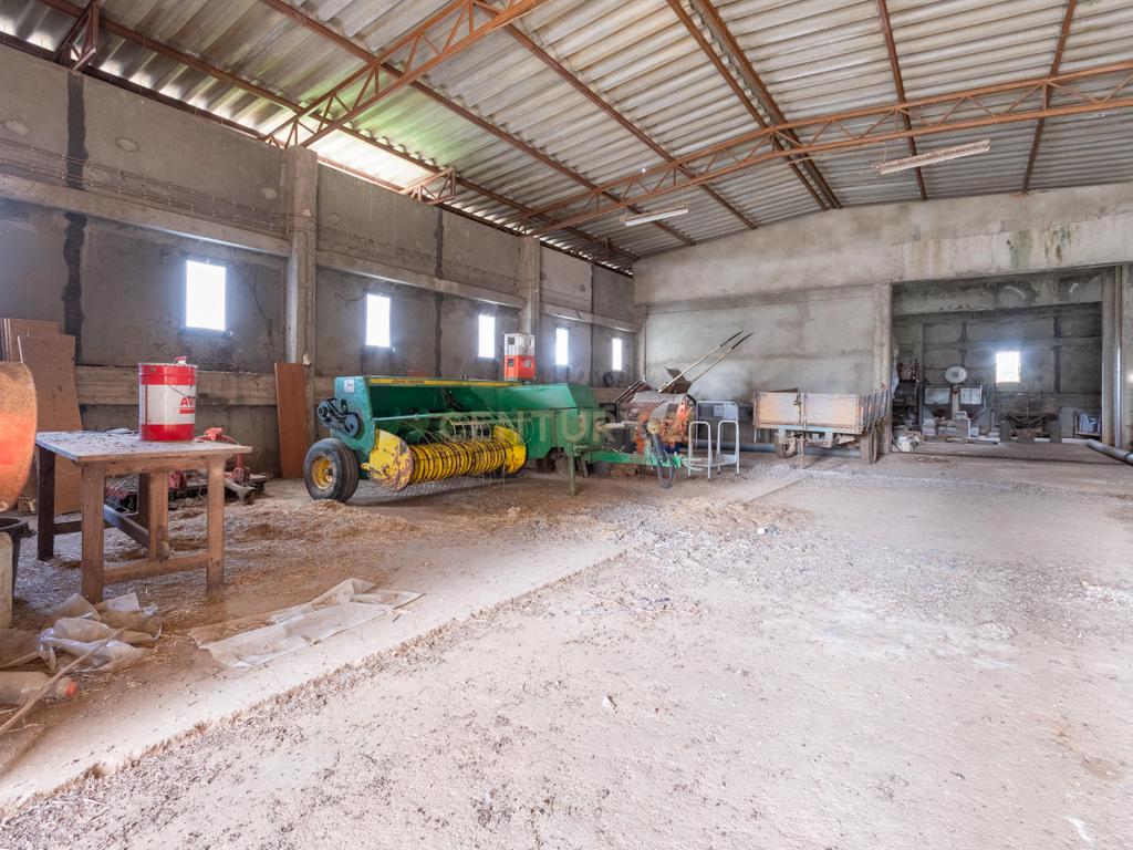 Terreno com Armazém, Moradia e Projeto pré aprovado | Excelente Oportunidade de Investimento - Image 17