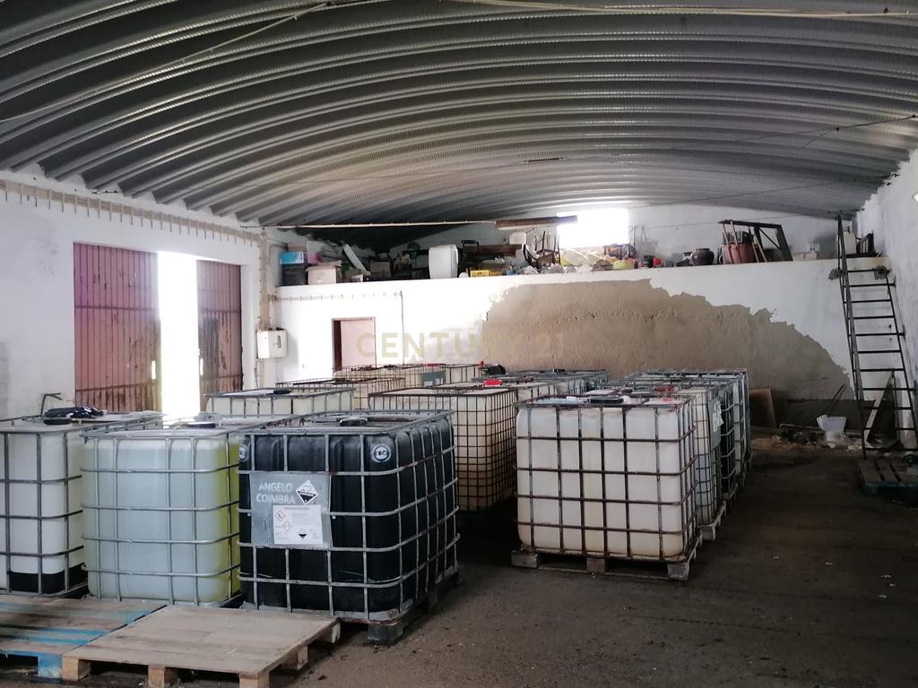 Quinta Rústica em Évora com 8.750 m2 e uma Vista Campestre - Image 30