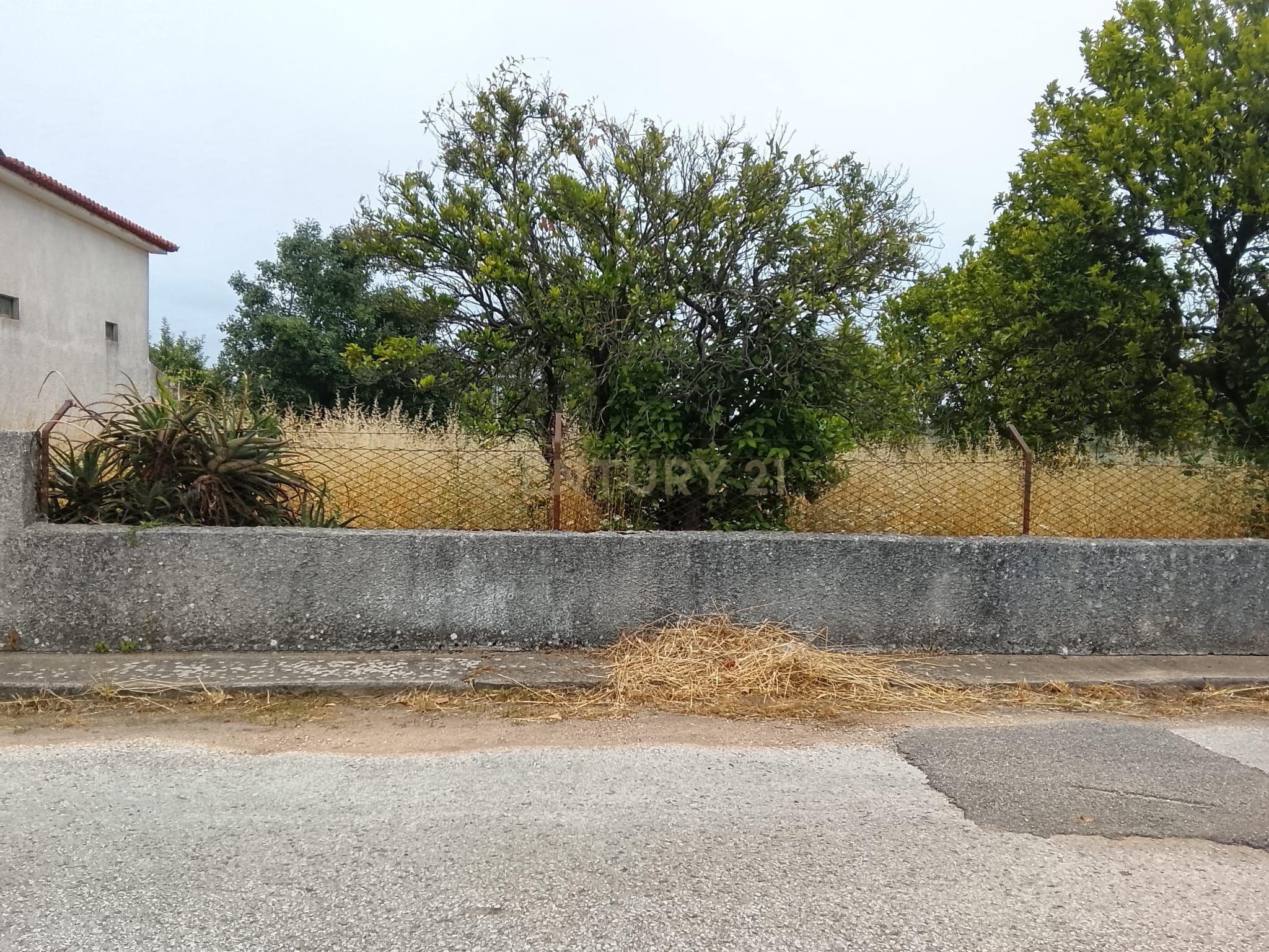 Fotografia 10 de Terreno Urbanizável com 3.115 m² e Armazém de 138 m² | Dois Artigos | Vilarinho do Bairro, Anadia