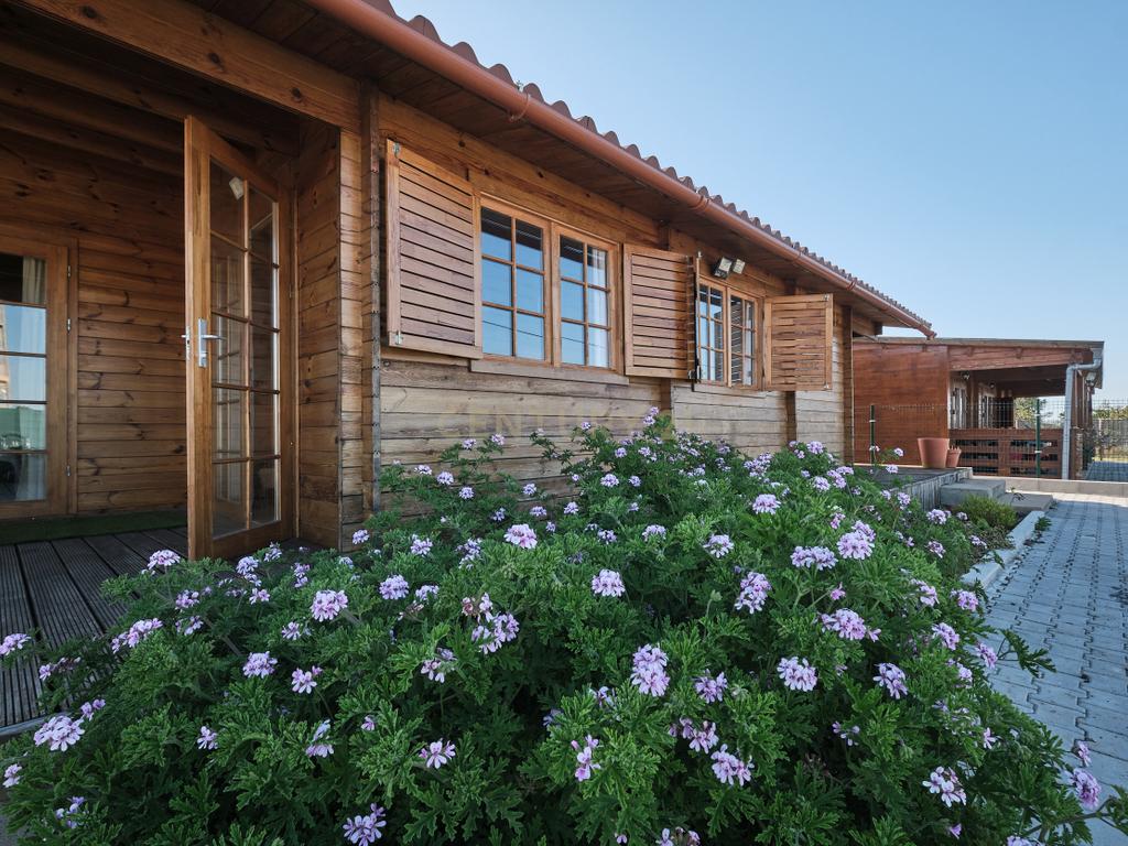 Terreno em Melides - Turismo Rural - Image 2