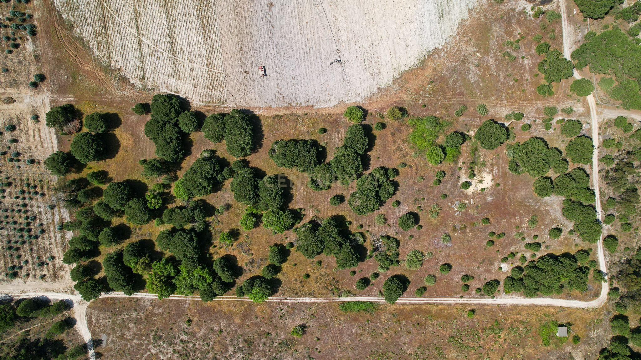Terreno Rústico c/ 22.500m2 - Sto Isidro de Pegões - Montijo - Image 8
