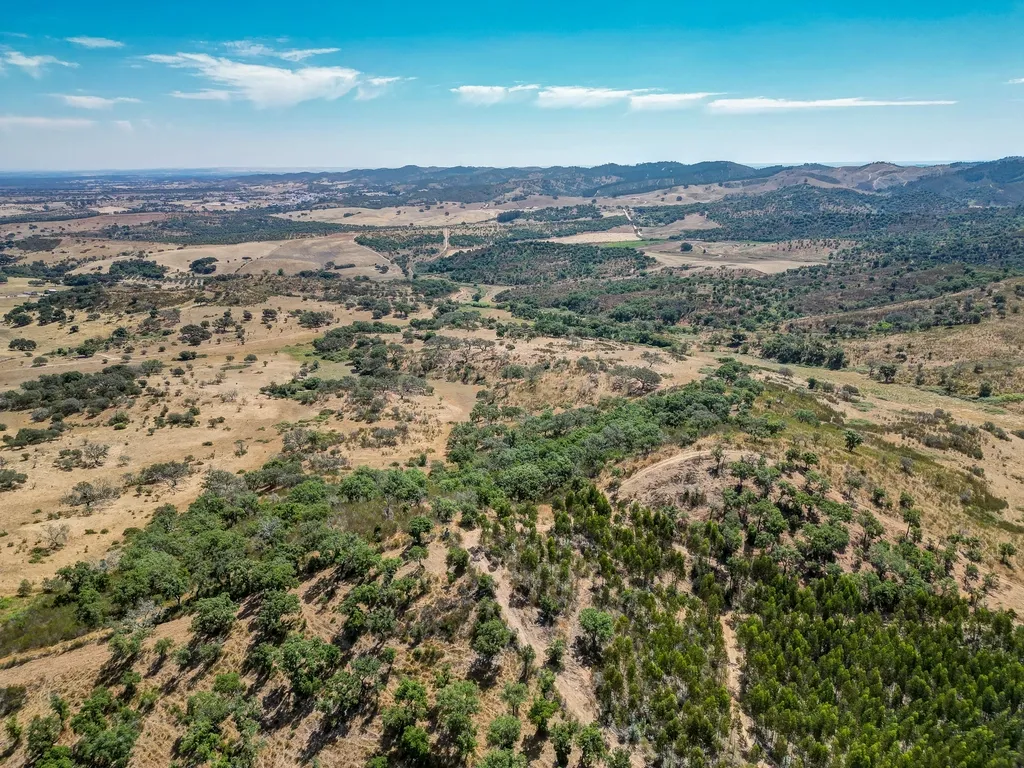Herdade com 59,225 ha , 687m2 urbano, nascente de água, em Colos, Odemira - Image 11
