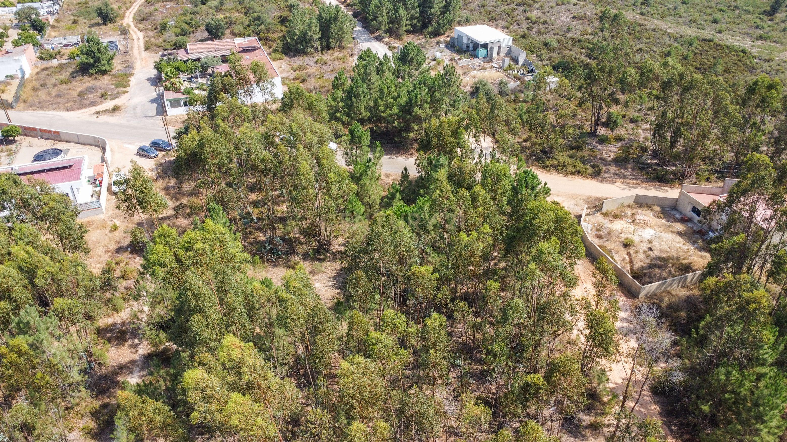 Fotografia 7 de Lote de Terreno com Elevado Potencial de Construção – Herdade do Pinhal das Formas, Quinta do Anjo
