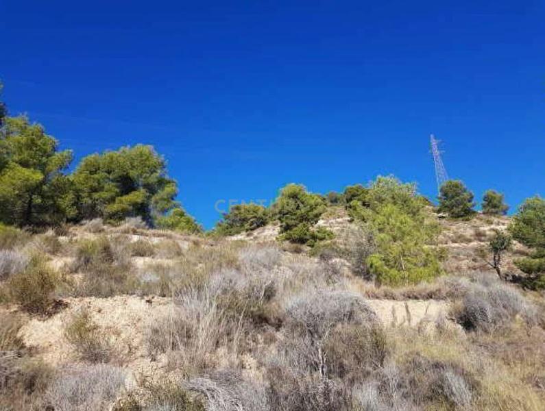 Terreno - Image 3