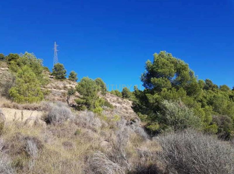 Terreno - Image 2
