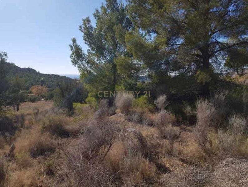 Terreno - Image 5