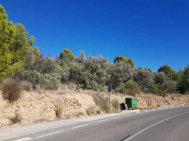 Terreno - Image 15