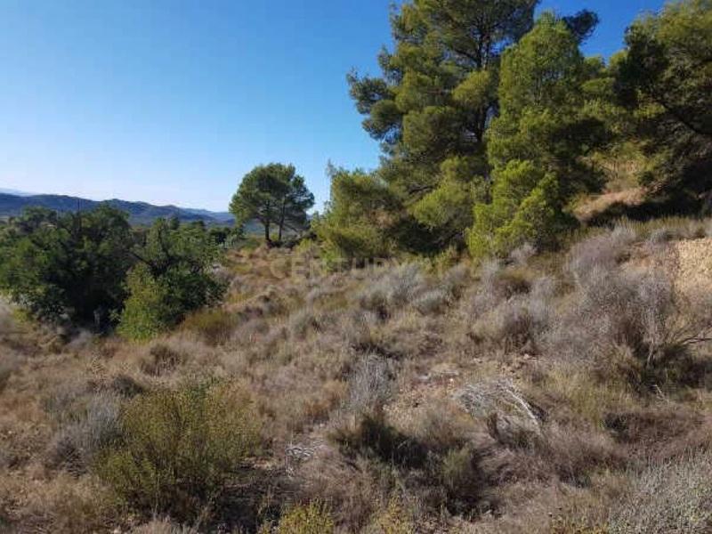 Terreno - Image 1
