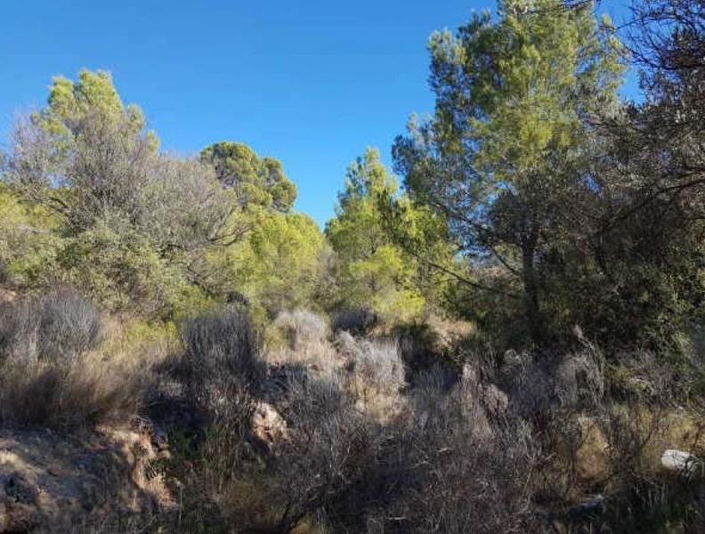 Terreno - Image 12