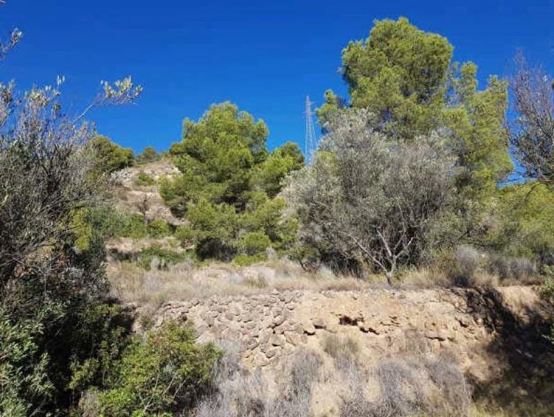 Terreno - Image 10