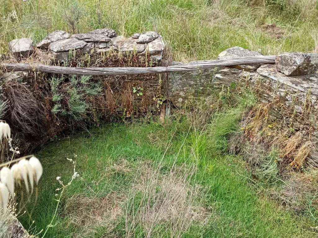 Terreno 8500m2, Lentiscais, Castelo Branco - Image 9