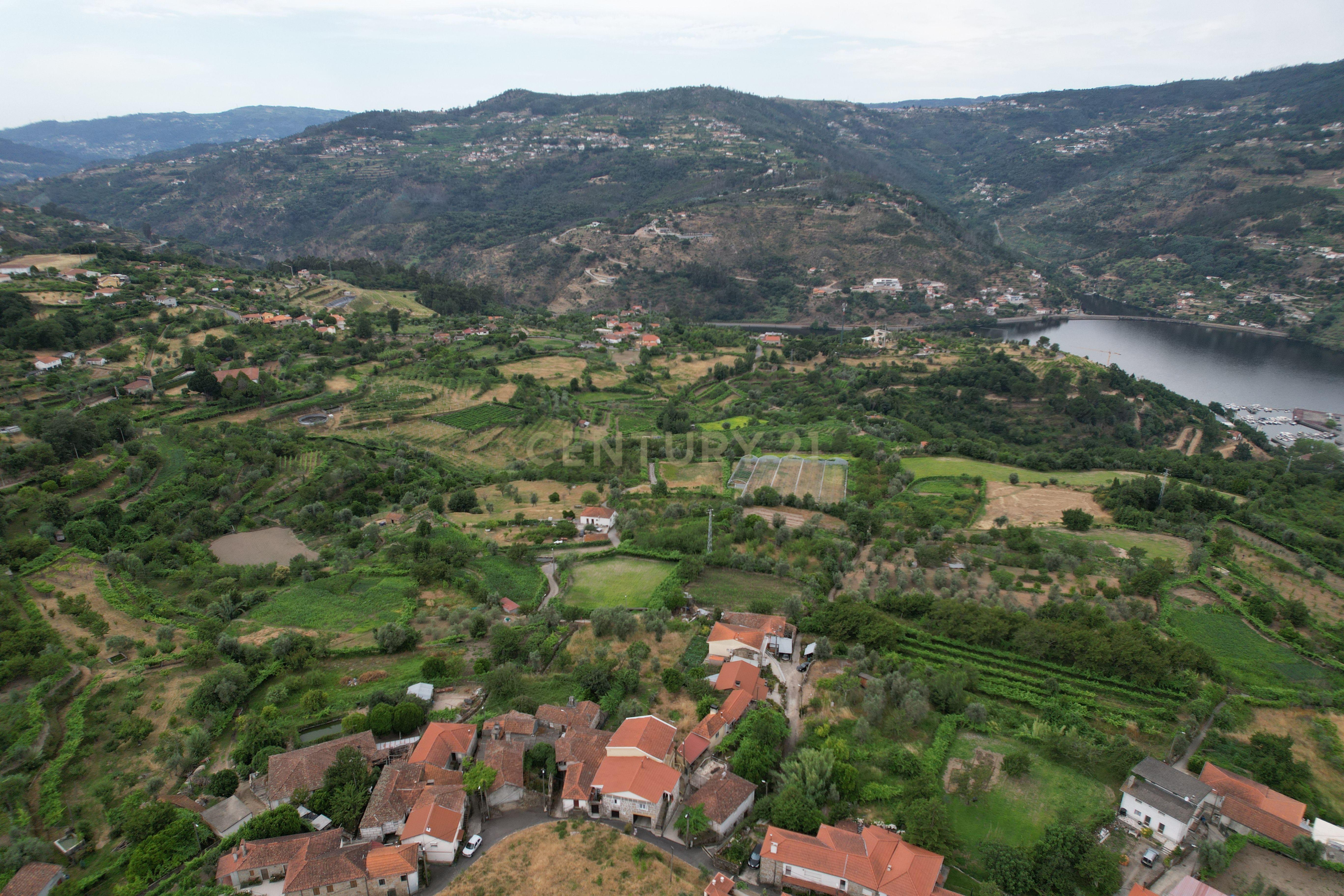 Fotografia 10 de Quinta em Miomães, Resende | Um refúgio rural com cerca de 4 hectares de potencial