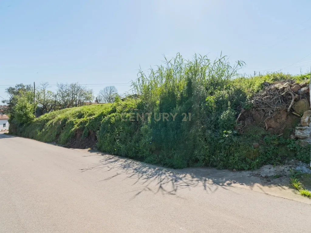 Ruína com Terreno para construção em Vestiaria - Alcobaça - Image 9