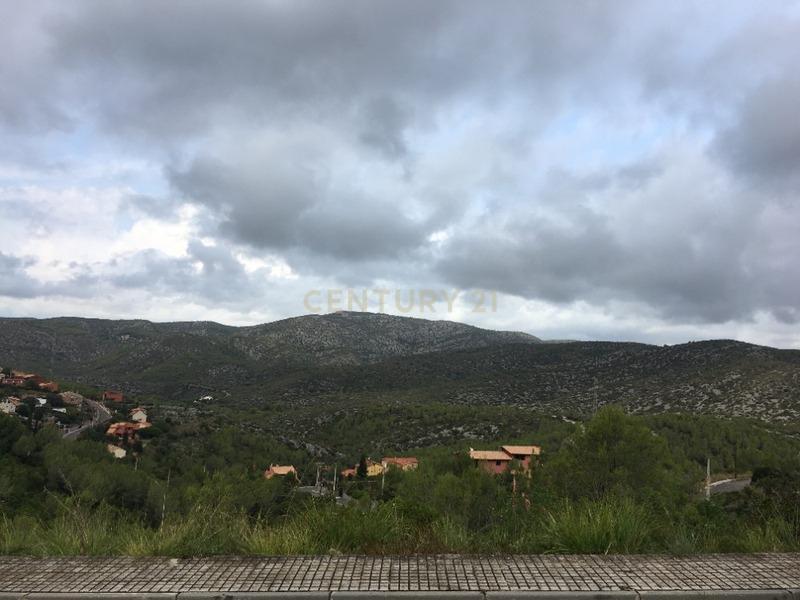 undefined - Image 4