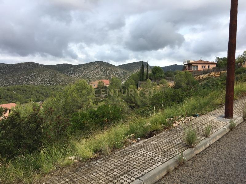 undefined - Image 6