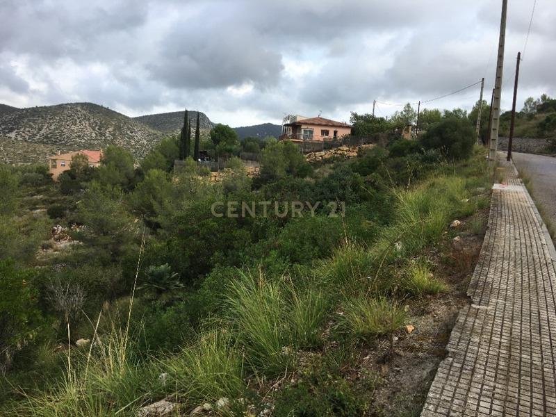 undefined - Image 3