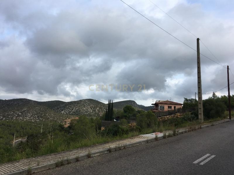 undefined - Image 7