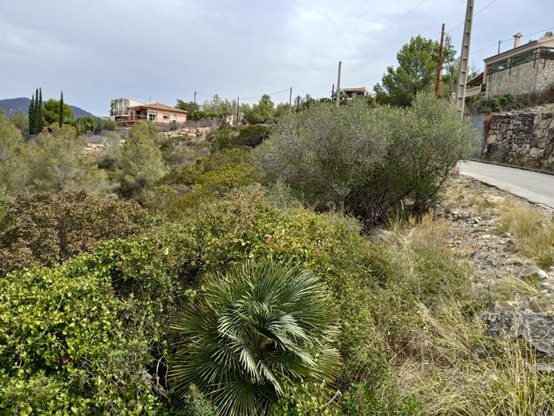undefined - Image 1