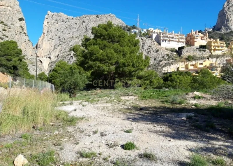 Terreno - Image 9