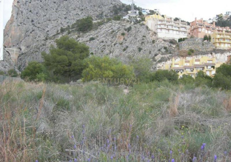 Terreno - Image 4