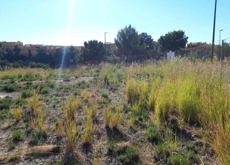 Terreno - Image 2