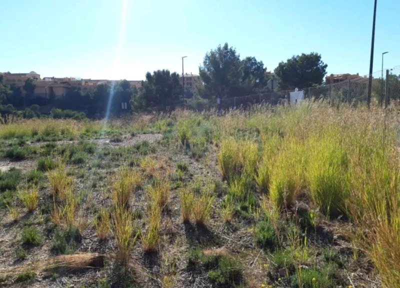 Terreno - Image 2