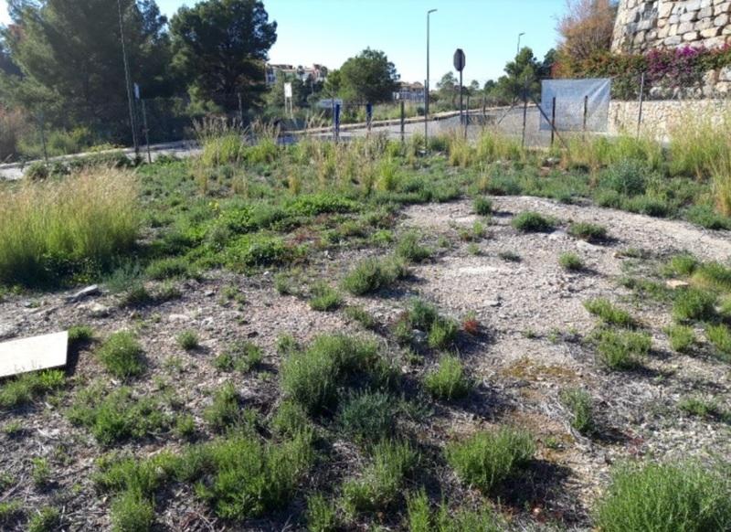 Terreno - Image 6