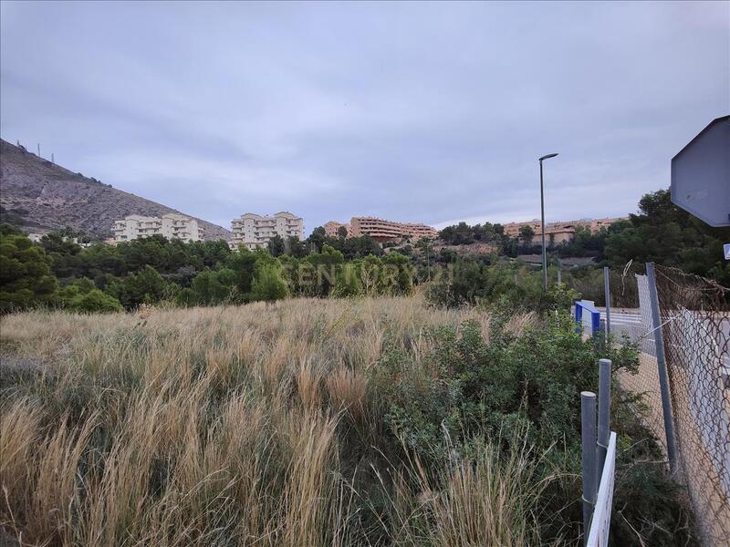 Terreno - Image 3