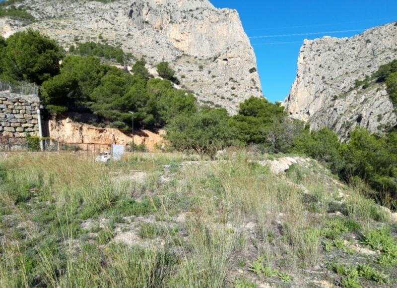 Terreno - Image 5
