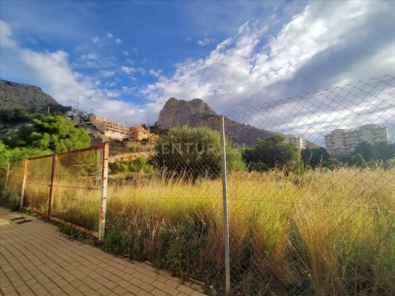 Terreno - Image 1