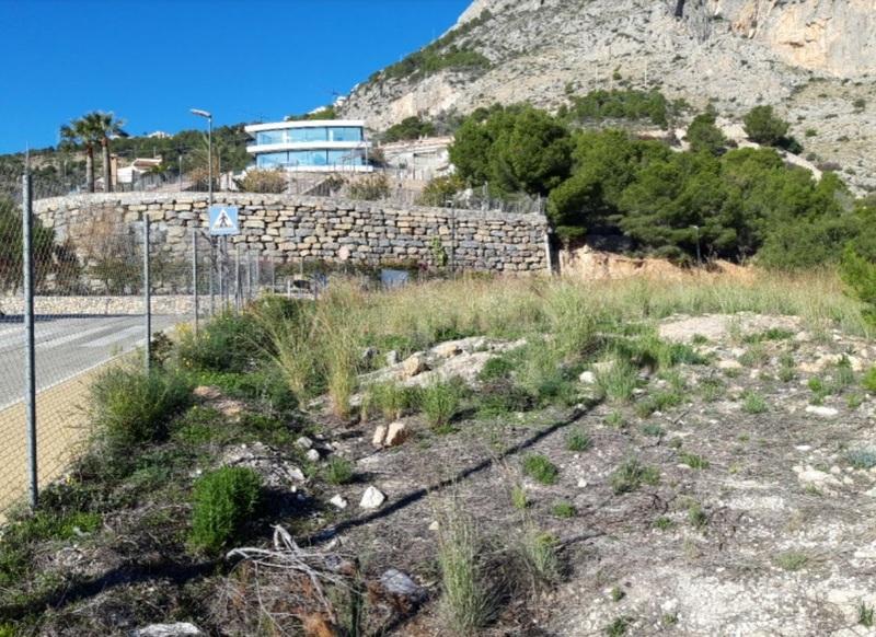 Terreno - Image 8