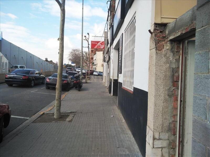 Terreno - Image 8