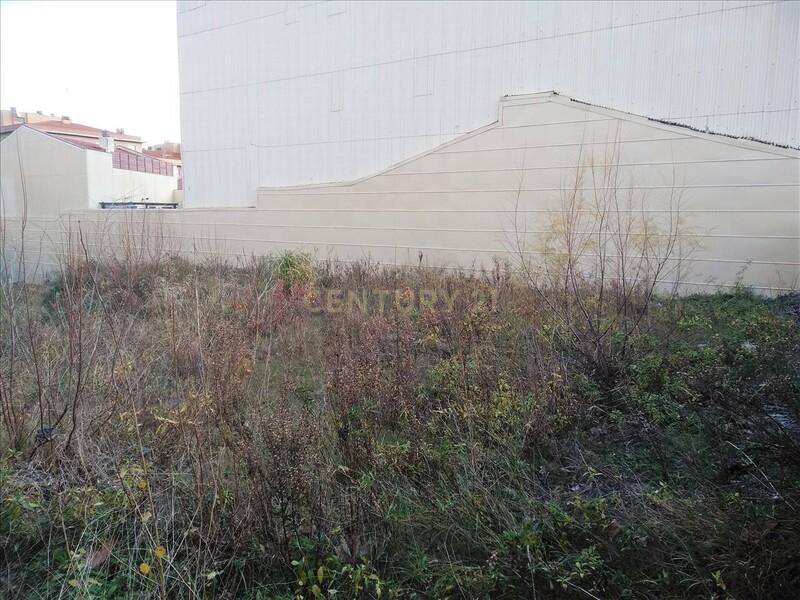 Terreno - Image 2