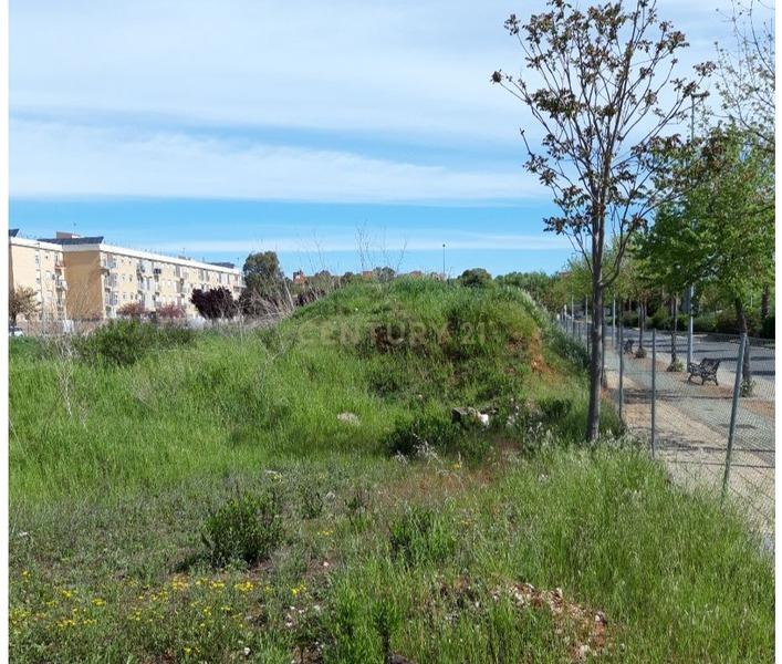 Terreno - Image 11