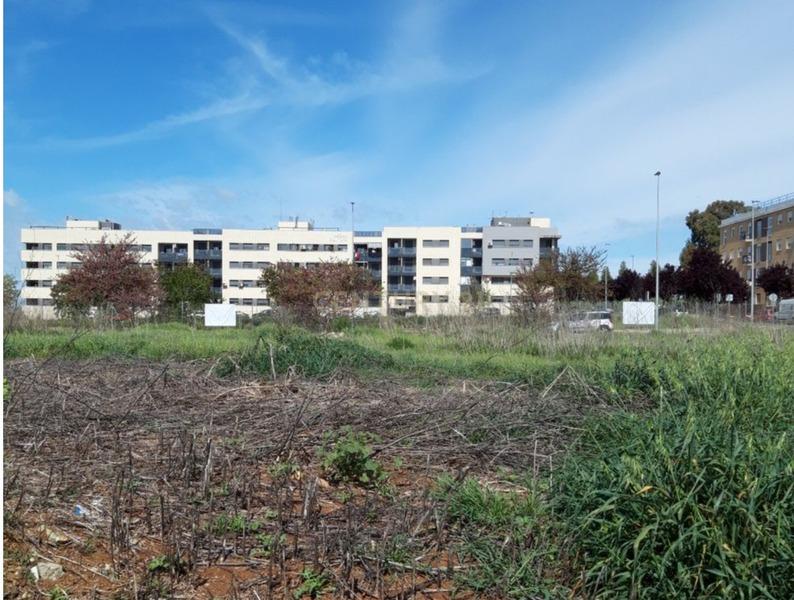 Terreno - Image 9