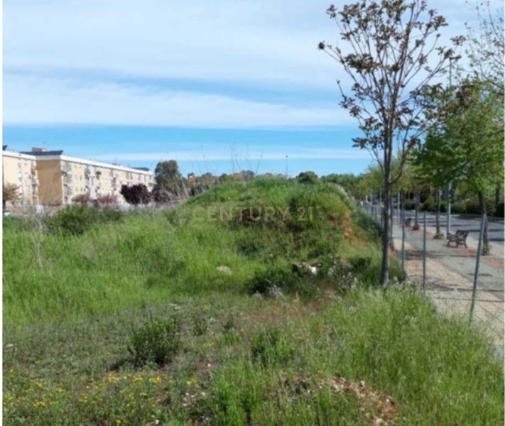 Terreno - Image 5