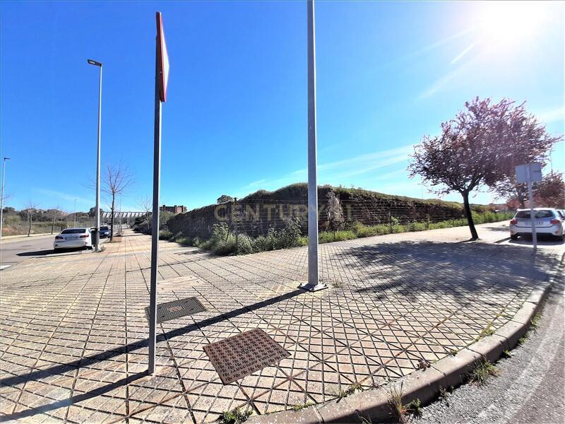 Terreno - Image 4